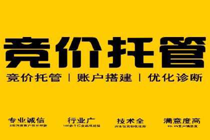 百度SEO推广公司案例精选：揭秘关键词优化策略